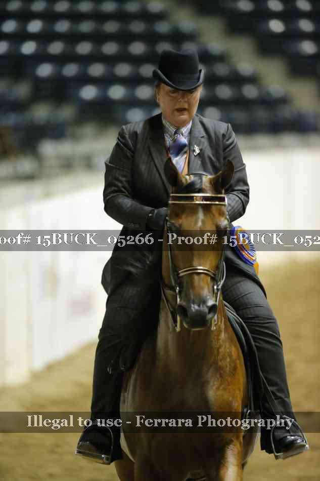 Proof 15BUCK_05266