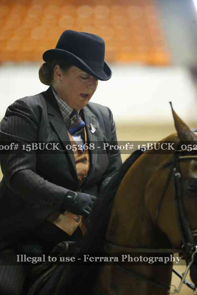 Proof 15BUCK_05268