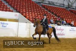 15BUCK_05270 proof