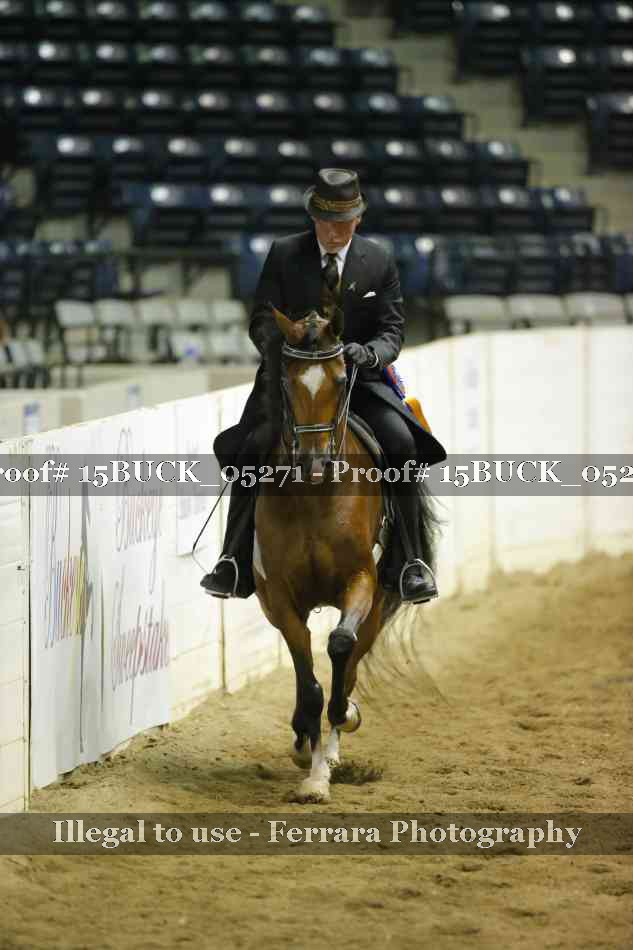 Proof 15BUCK_05271