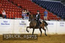 15BUCK_05275 proof