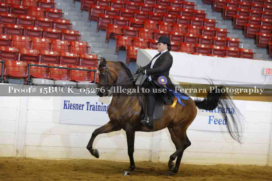 Proof 15BUCK_05276