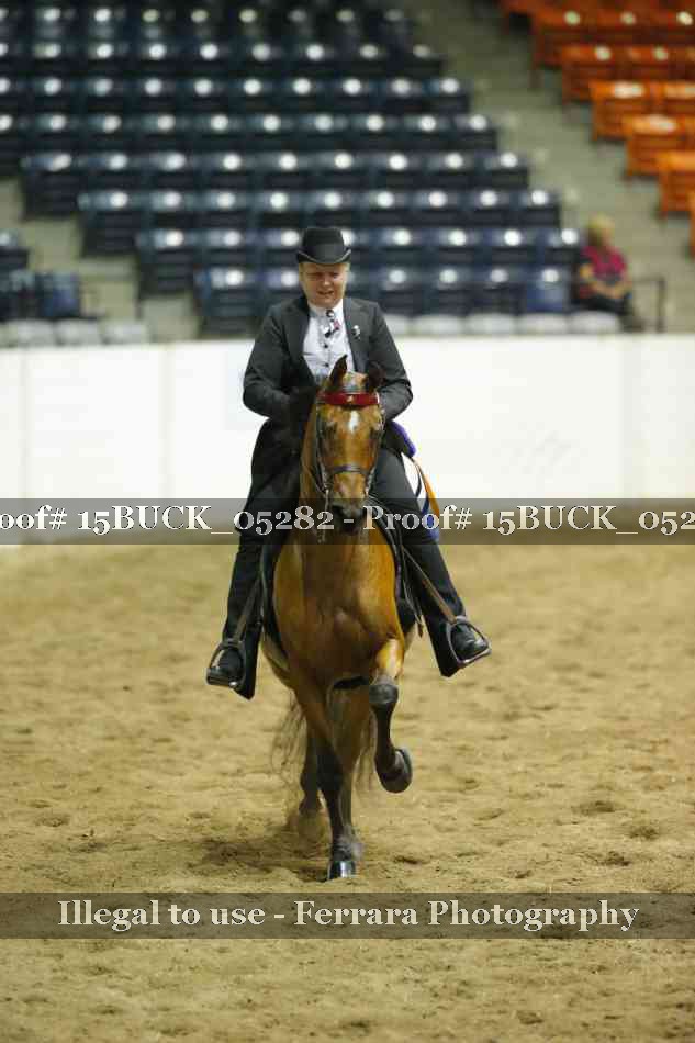 Proof 15BUCK_05282