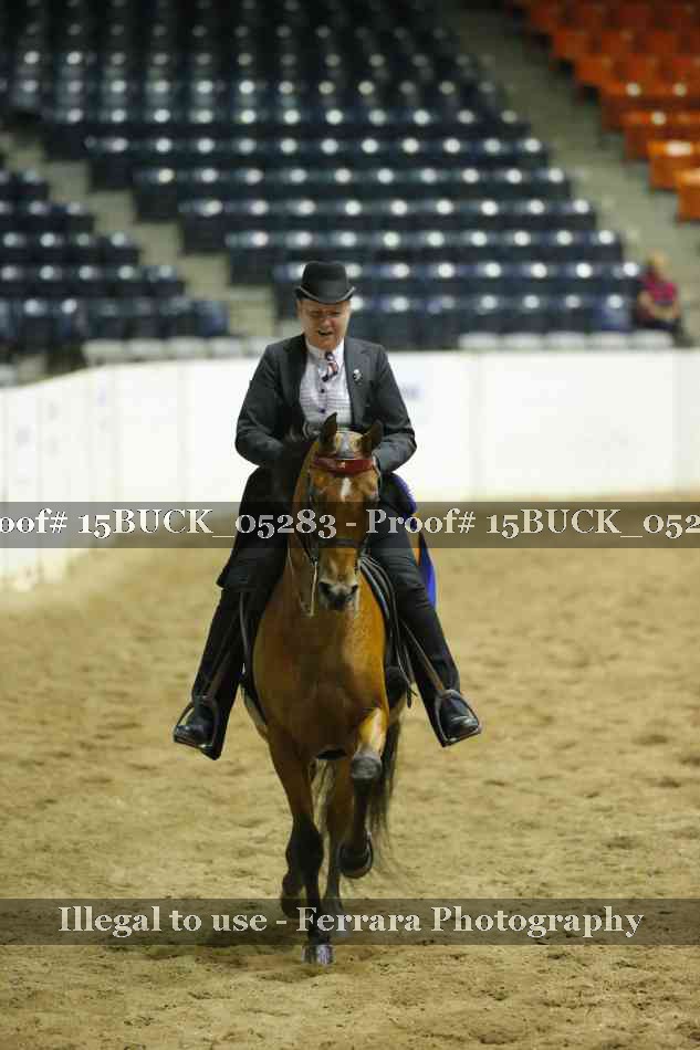 Proof 15BUCK_05283