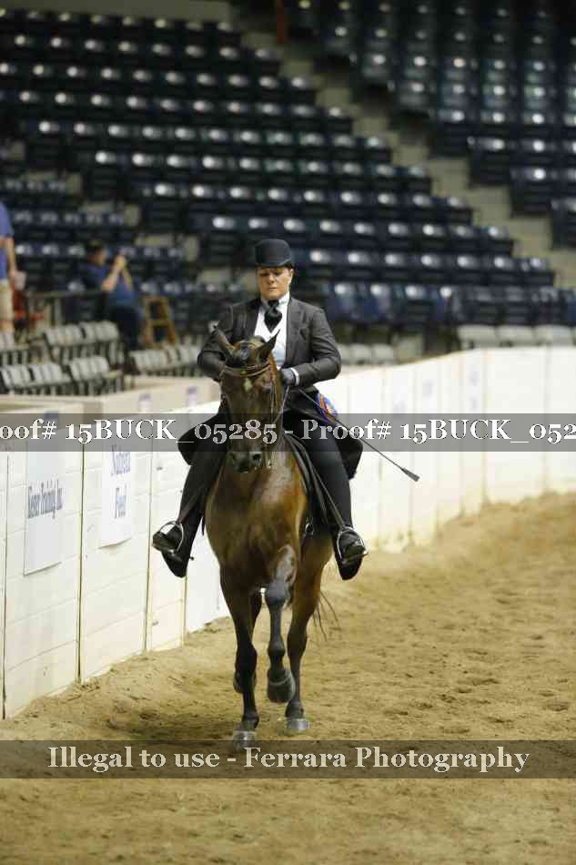 Proof 15BUCK_05285