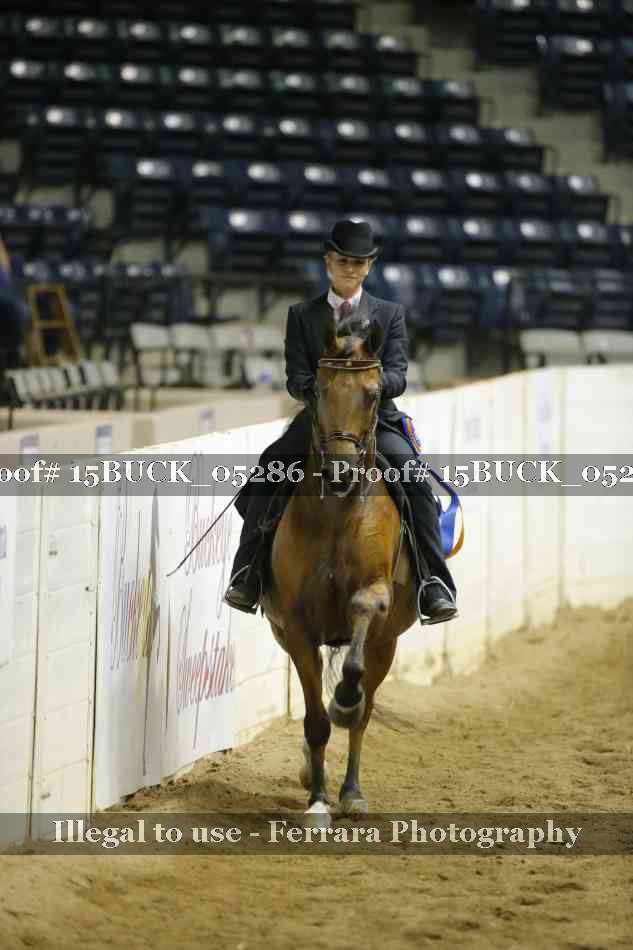 Proof 15BUCK_05286