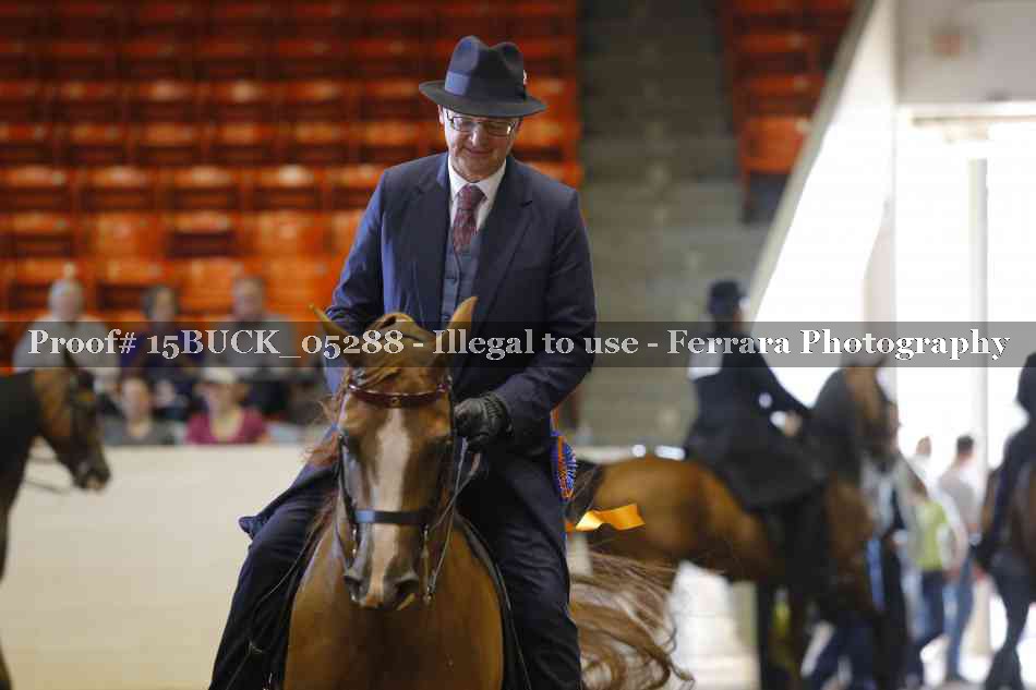 Proof 15BUCK_05288