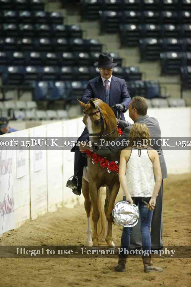 Proof 15BUCK_05294