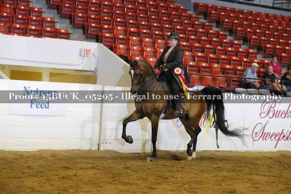 Proof 15BUCK_05295