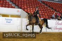 15BUCK_05295 proof