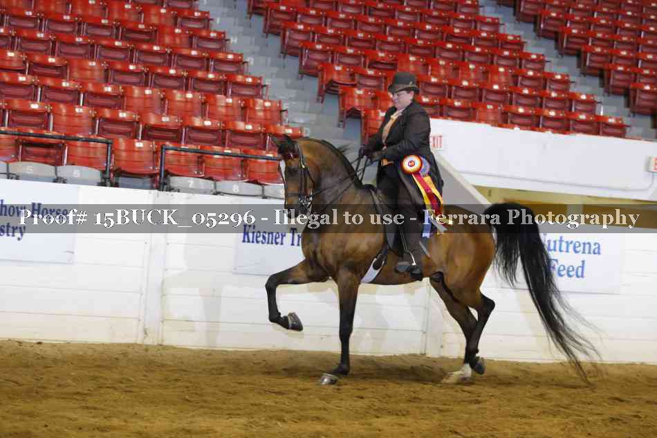 Proof 15BUCK_05296