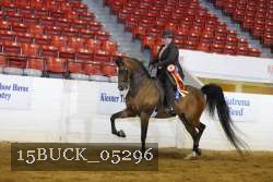 15BUCK_05296 proof