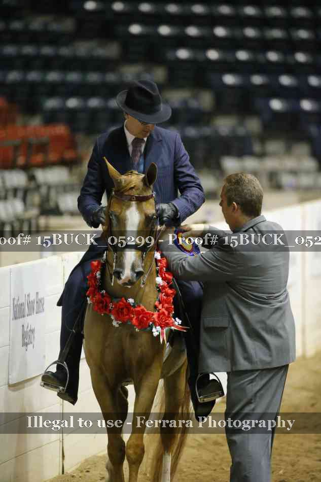 Proof 15BUCK_05299