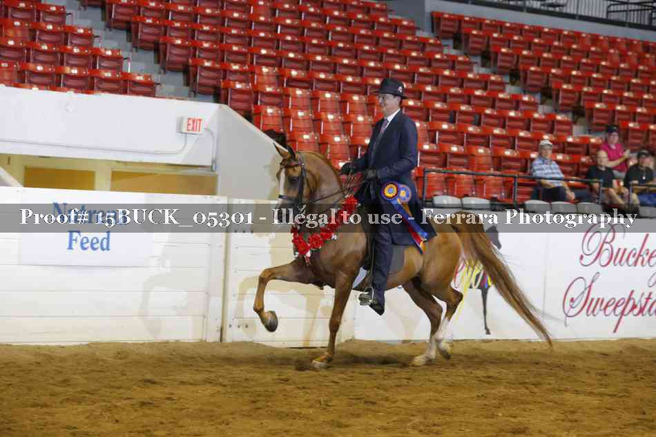 Proof 15BUCK_05301