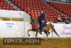 15BUCK_05301 proof