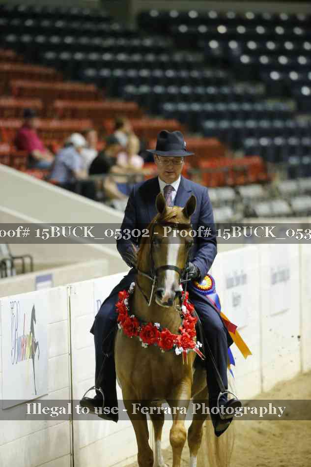 Proof 15BUCK_05302