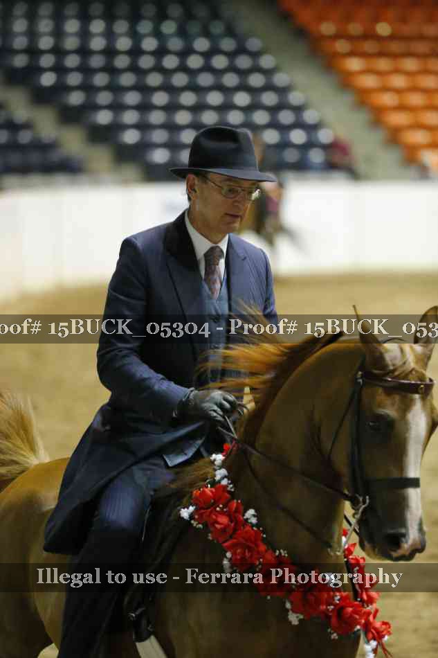 Proof 15BUCK_05304