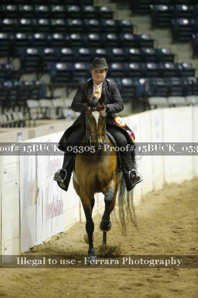 Proof 15BUCK_05305