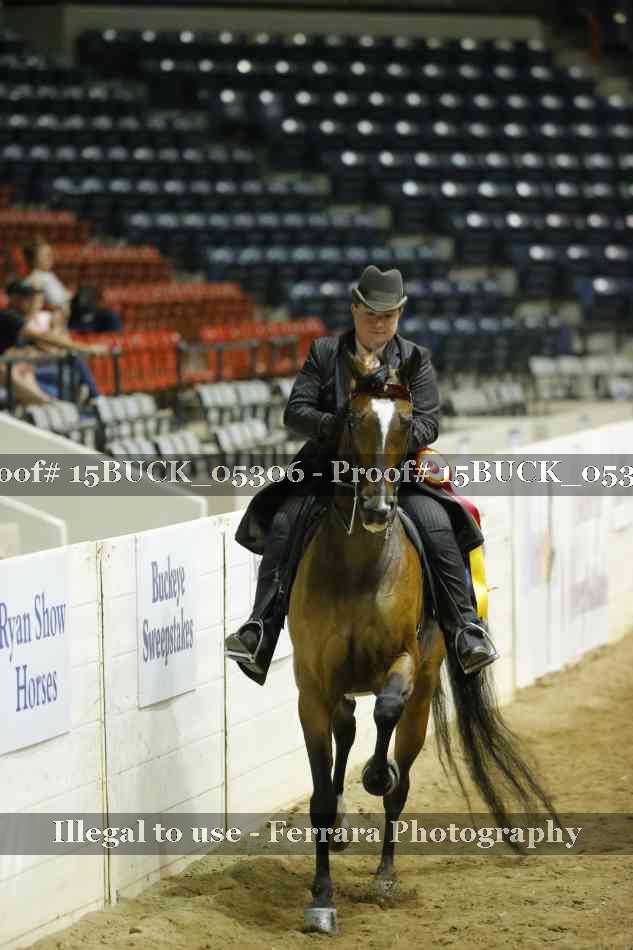 Proof 15BUCK_05306