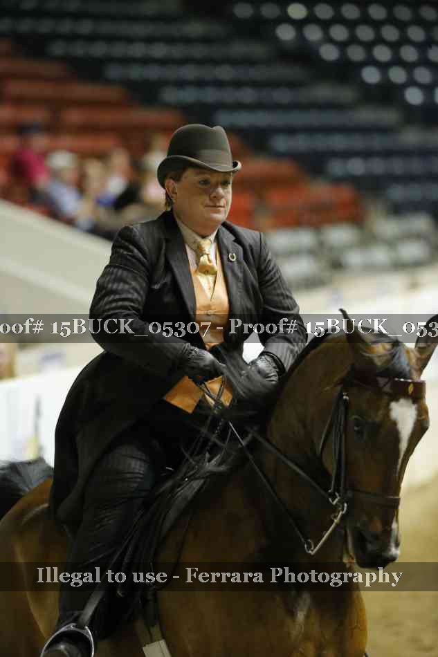 Proof 15BUCK_05307