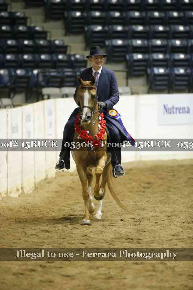 Proof 15BUCK_05308