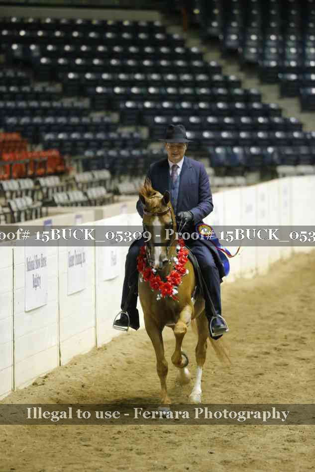 Proof 15BUCK_05309