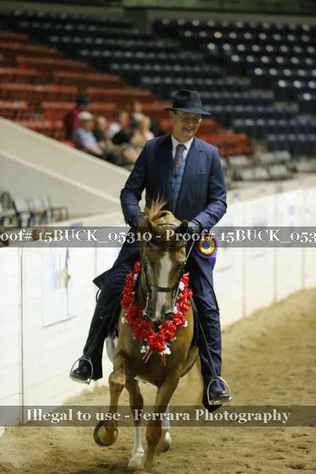 Proof 15BUCK_05310