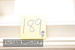 15BUCK_05314 proof