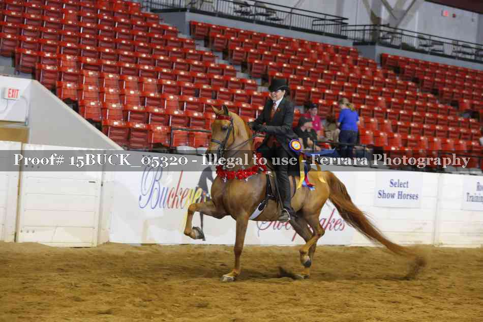 Proof 15BUCK_05320