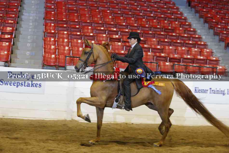 Proof 15BUCK_05321