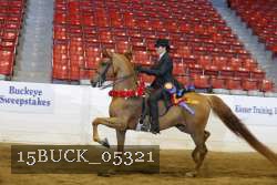 15BUCK_05321 proof