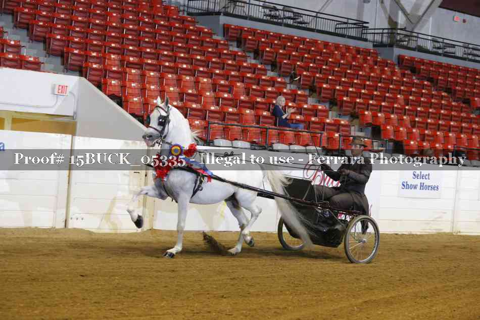 Proof 15BUCK_05335