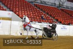 15BUCK_05335 proof