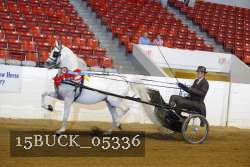 15BUCK_05336 proof