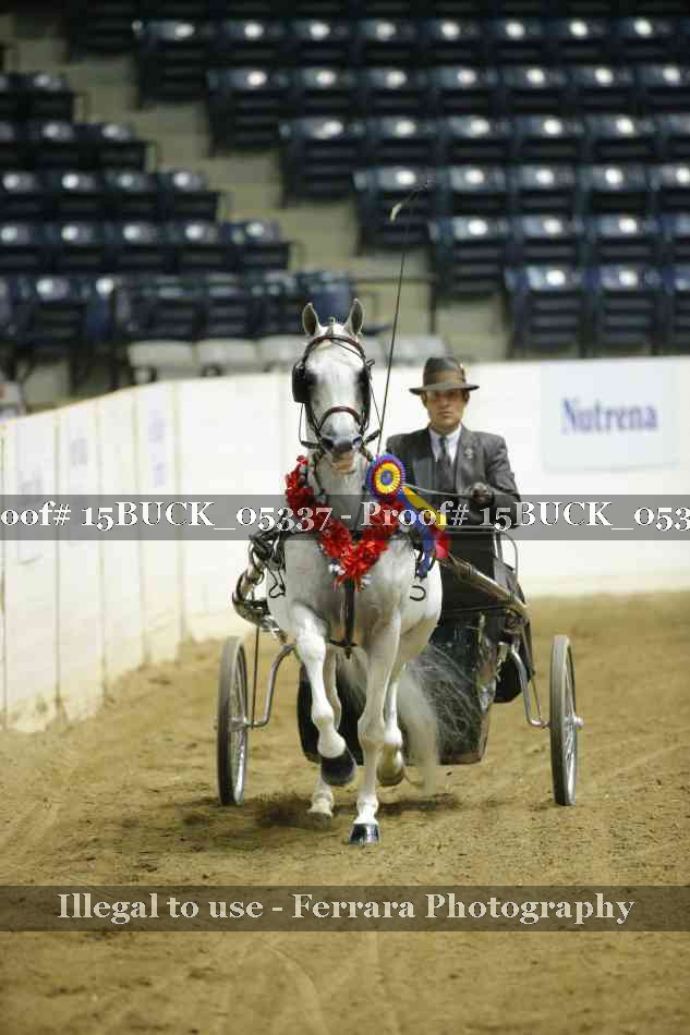 Proof 15BUCK_05337