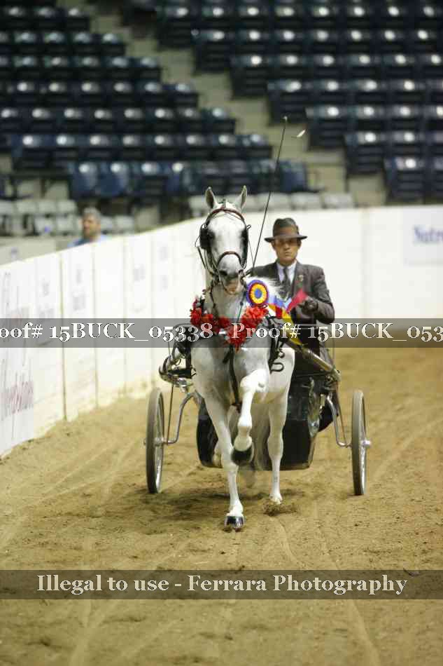 Proof 15BUCK_05338