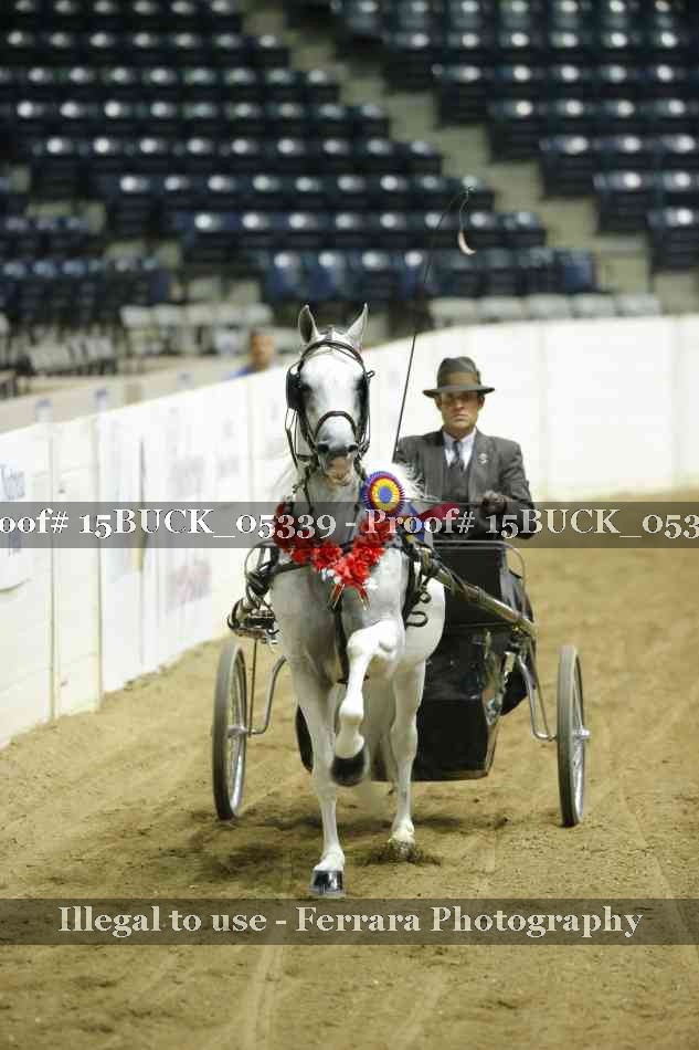 Proof 15BUCK_05339