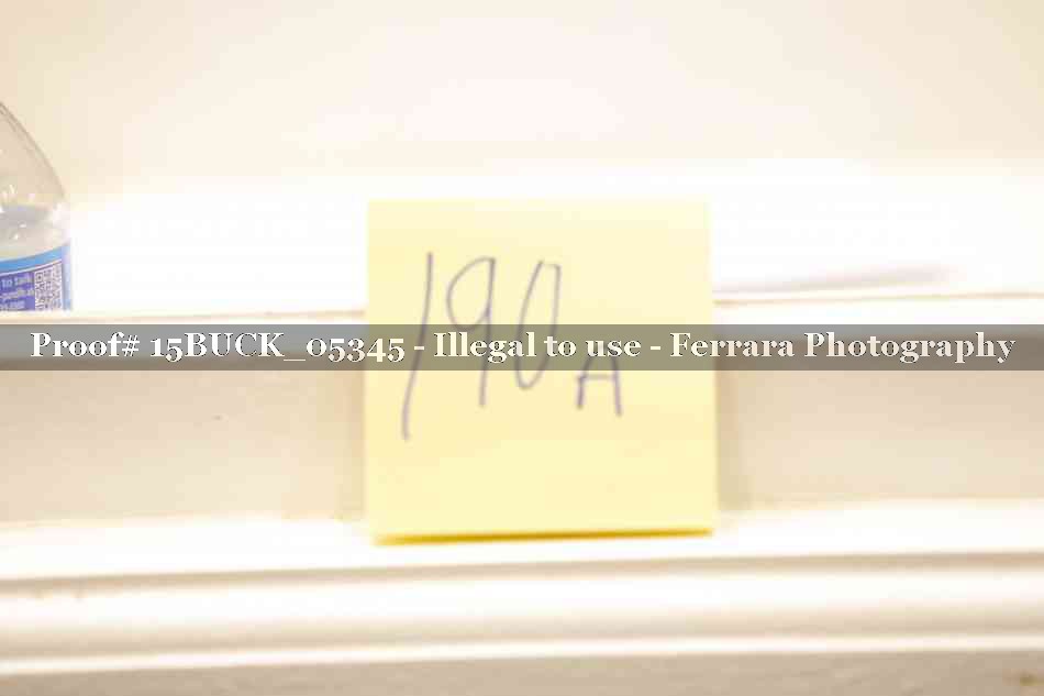 Proof 15BUCK_05345