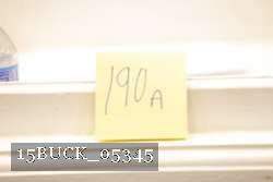 15BUCK_05345 proof