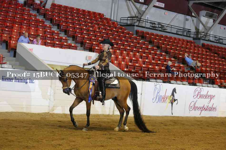 Proof 15BUCK_05347