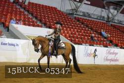 15BUCK_05347 proof