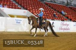 15BUCK_05348 proof