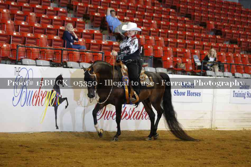 Proof 15BUCK_05350