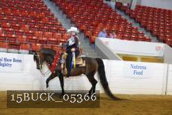 15BUCK_05366 proof