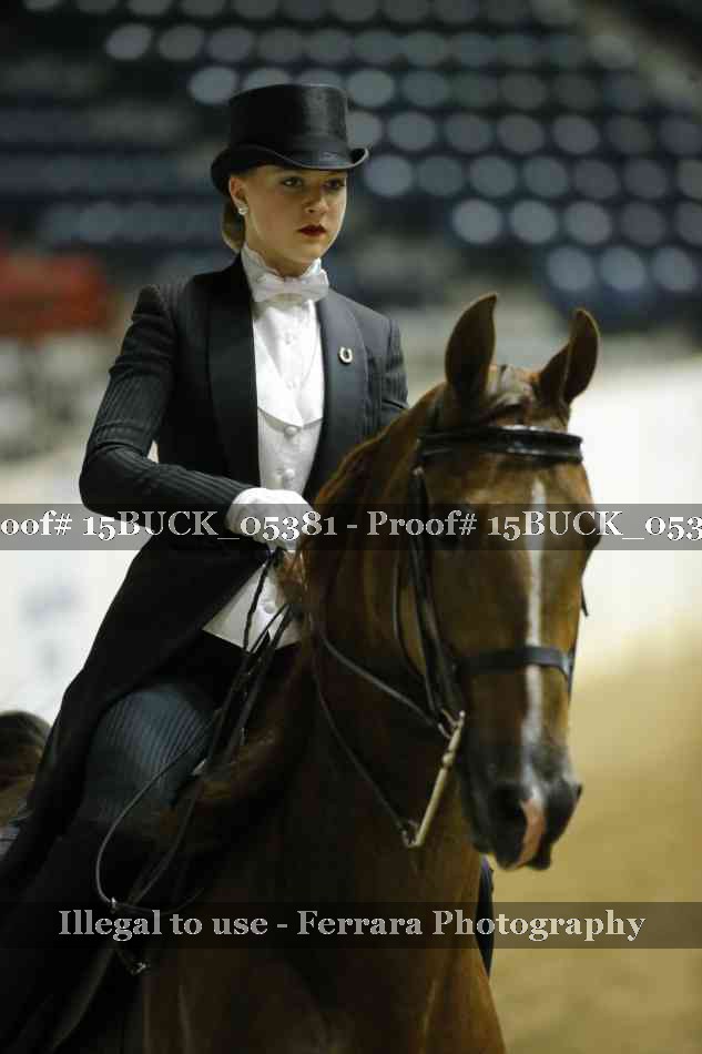 Proof 15BUCK_05381