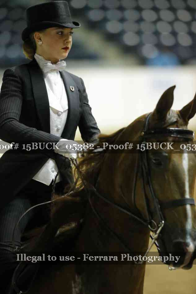 Proof 15BUCK_05382