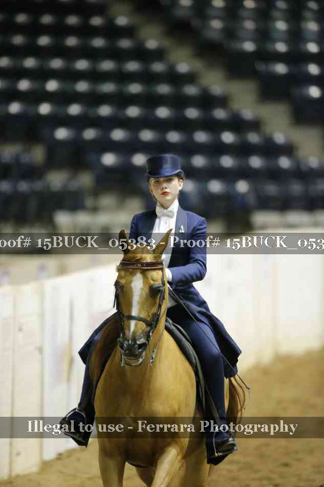 Proof 15BUCK_05383