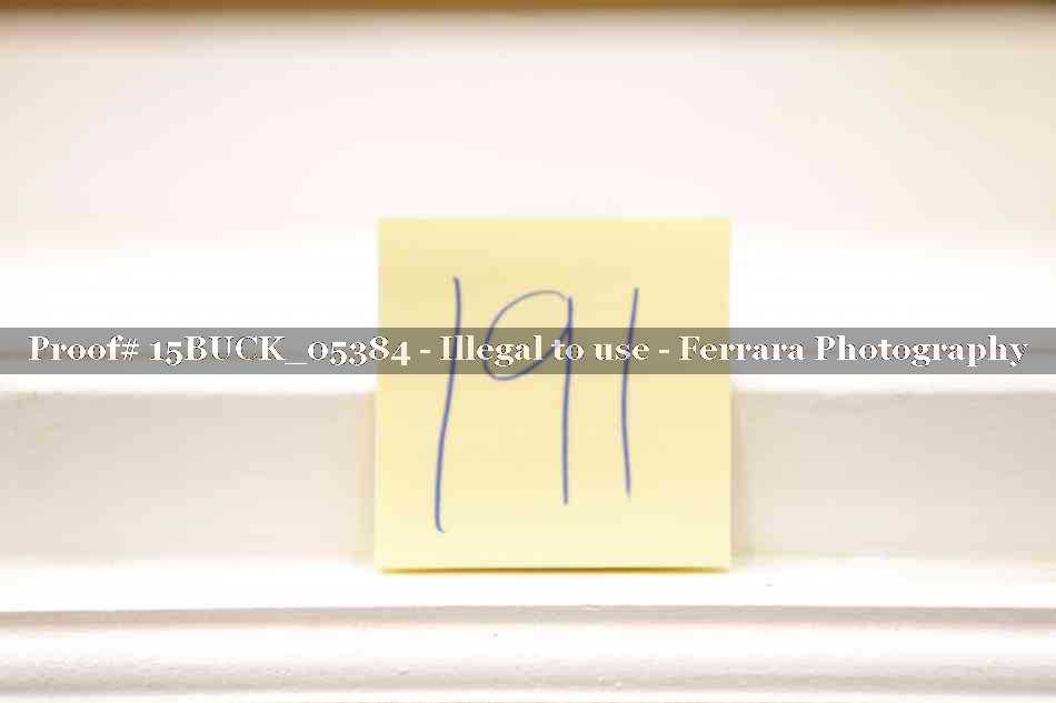 Proof 15BUCK_05384