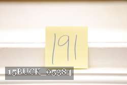 15BUCK_05384 proof