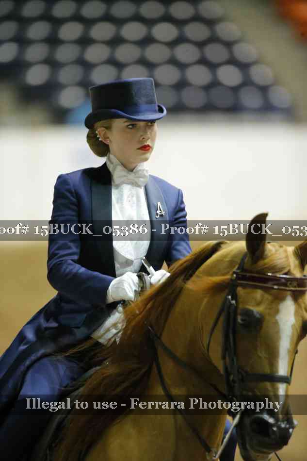 Proof 15BUCK_05386